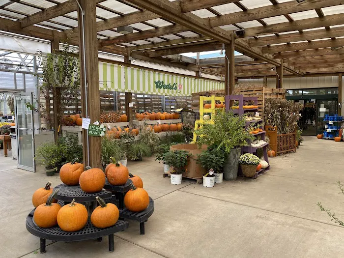 Wedel's Nursery, Florist and Garden Center Picture 3