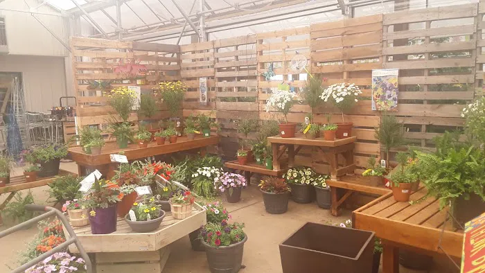 Wedel's Nursery, Florist and Garden Center Picture 4