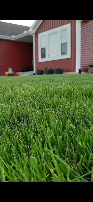 AE Lawn Care Picture 1