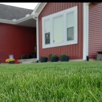 AE Lawn Care ico