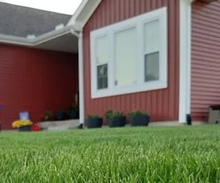 AE Lawn Care