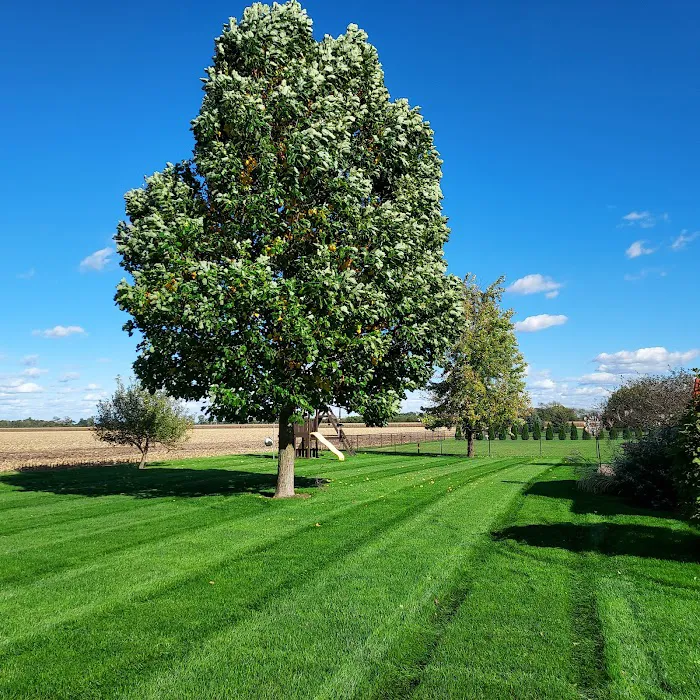 AE Lawn Care Picture 7