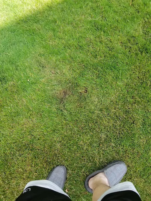 Personal Touch Lawn & Landscaping, LLC Picture 1
