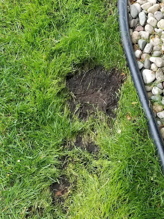 Personal Touch Lawn & Landscaping, LLC Picture 5