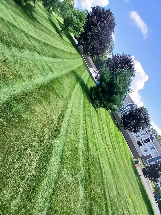 Personal Touch Lawn & Landscaping, LLC Picture 10