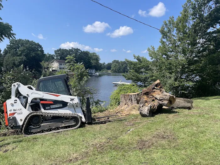 Landscaping,Excavating, and Forestry Picture 1