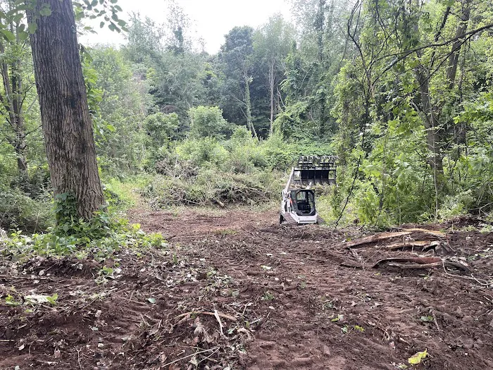 Landscaping,Excavating, and Forestry Picture 9