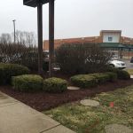 First Impressions Lawn Care