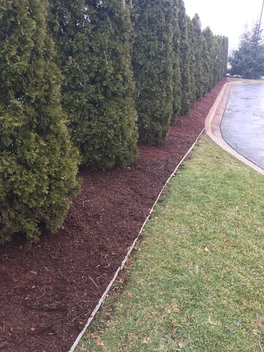 First Impressions Lawn Care Picture 2