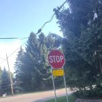 Butler Lawn & Landscape