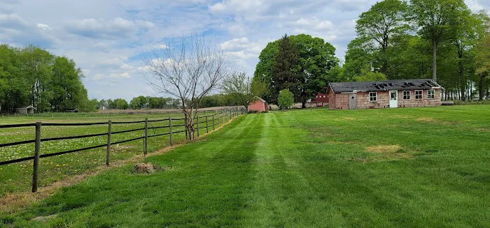 TruGreen Lawn Care Picture 8