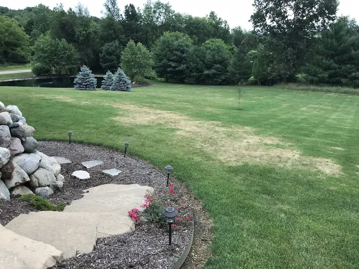 TruGreen Lawn Care Picture 4