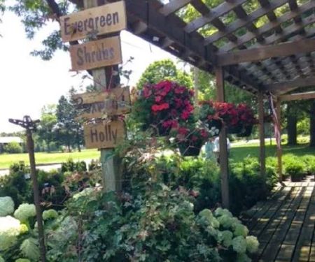 Huntree Nursery
