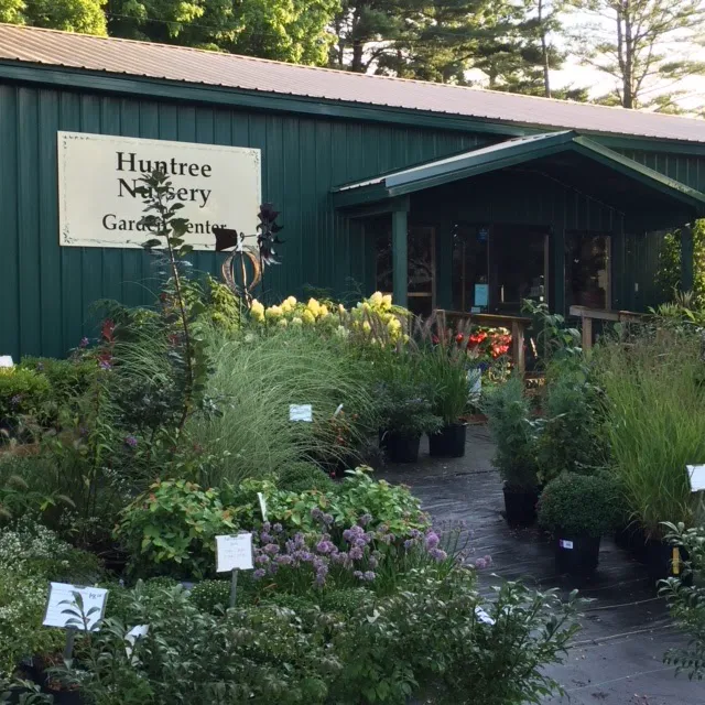 Huntree Nursery Picture 2