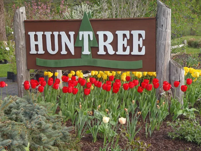 Huntree Nursery Picture 7