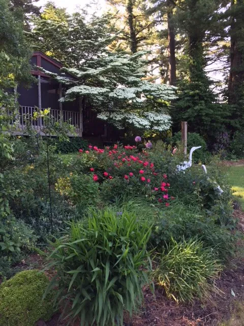 Huntree Nursery Picture 3