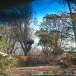 Choice Landscape & Lawncare