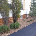 Shoreline Lawn & Landscape