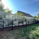 Daily Potager LLC