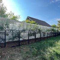 Daily Potager LLC ico