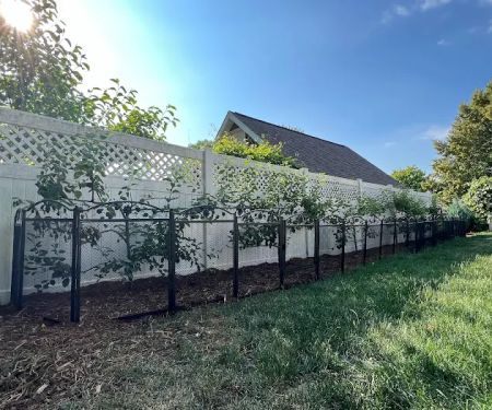 Daily Potager LLC