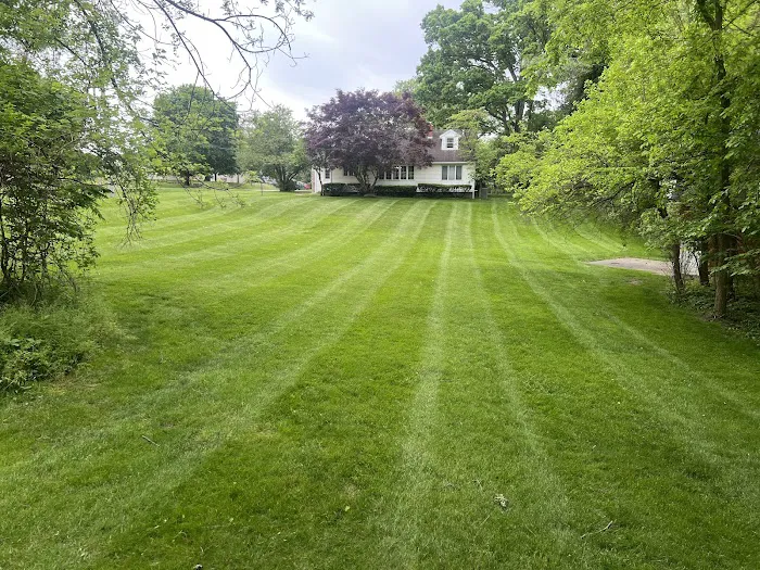 Chapman's Lawn Service Picture 4