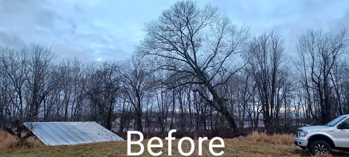 Gordon's tree service and landscaping Picture 1