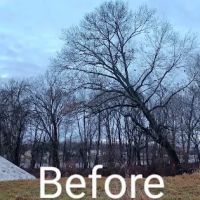 Gordon's tree service and landscaping ico