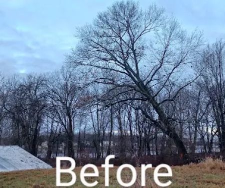 Gordon's tree service and landscaping