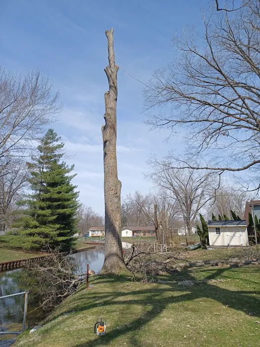 Gordon's tree service and landscaping Picture 2