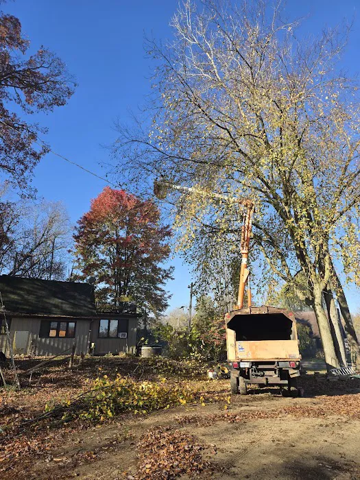 Gordon's tree service and landscaping Picture 3