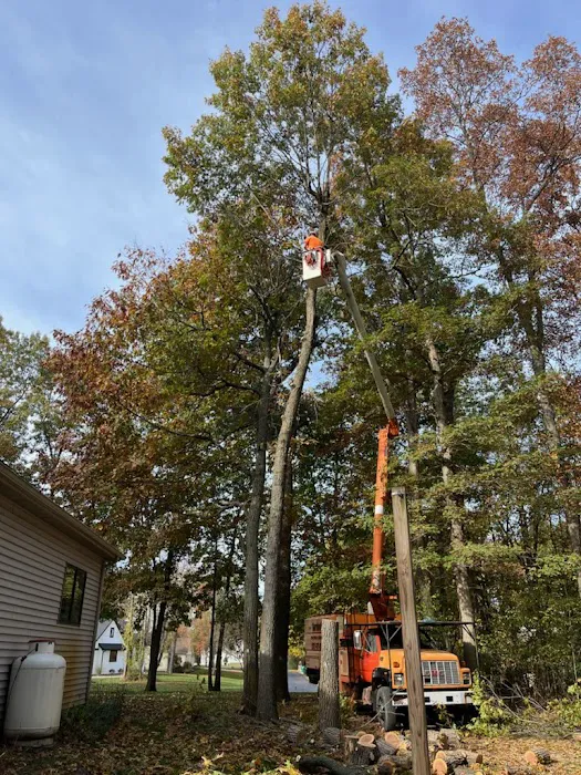 Gordon's tree service and landscaping Picture 10