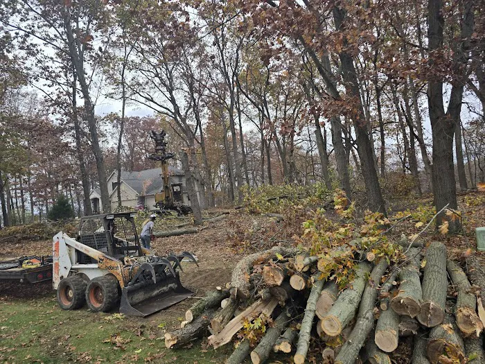 Gordon's tree service and landscaping Picture 6