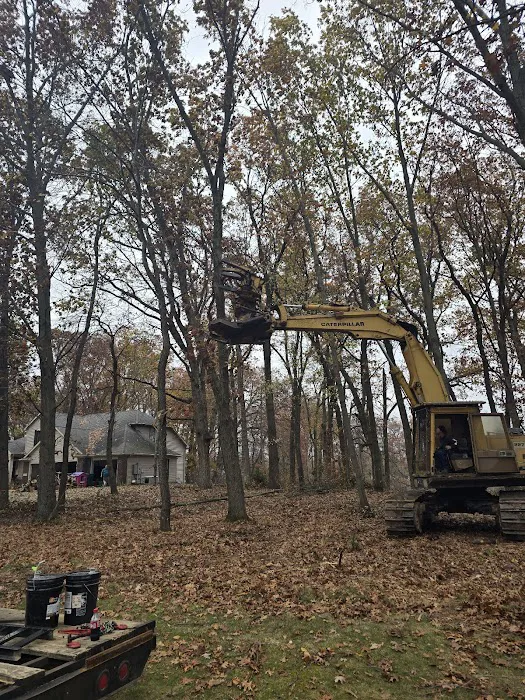 Gordon's tree service and landscaping Picture 4
