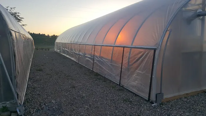 Kelley Excavating, Greenhouse, and Storage Picture 1