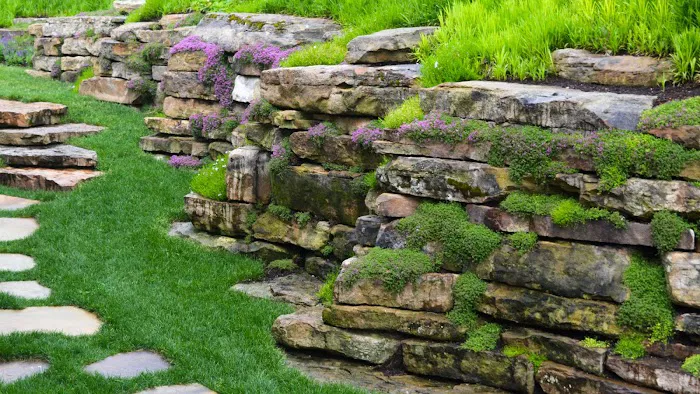 Paragon Landscape, Inc. Picture 7