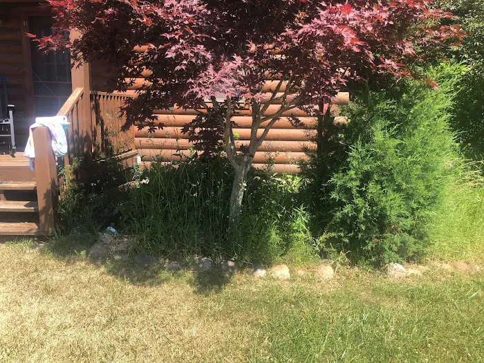 Outlaw landscaping and lawn Picture 4