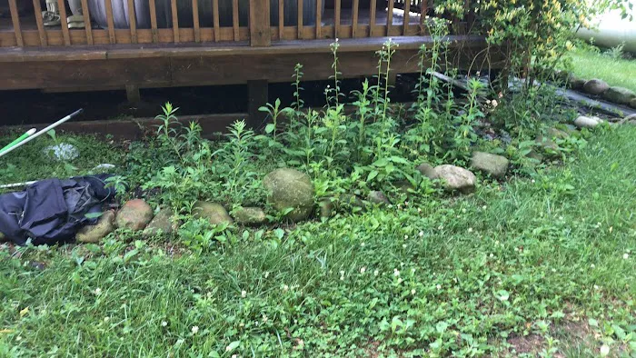 Outlaw landscaping and lawn Picture 7