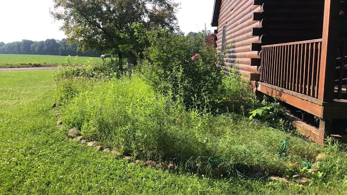Outlaw landscaping and lawn Picture 2