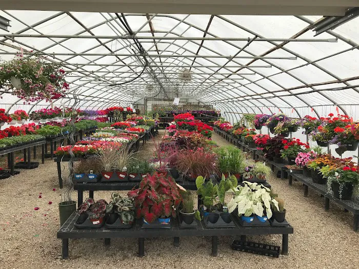 Franz Nursery Inc Picture 8