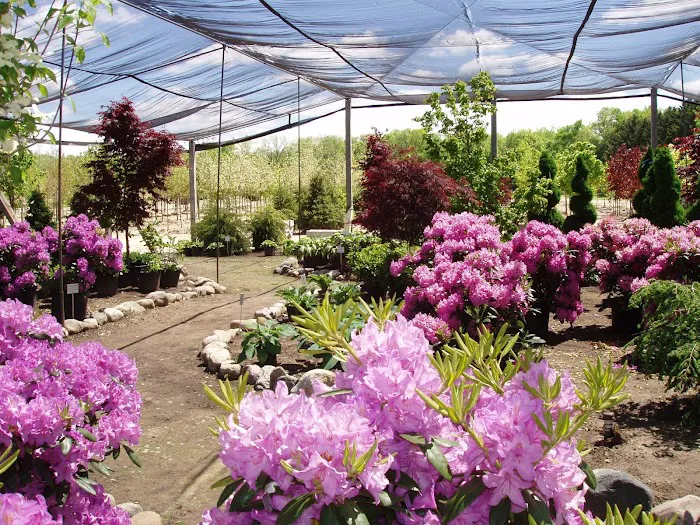 Franz Nursery Inc Picture 9