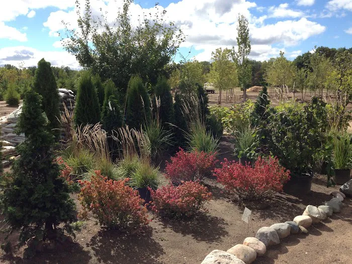 Franz Nursery Inc Picture 4
