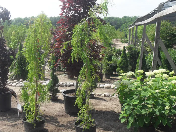 Franz Nursery Inc Picture 7