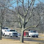 Henry Landscaping LLC