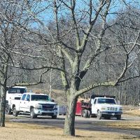 Henry Landscaping LLC ico