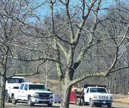 Henry Landscaping LLC
