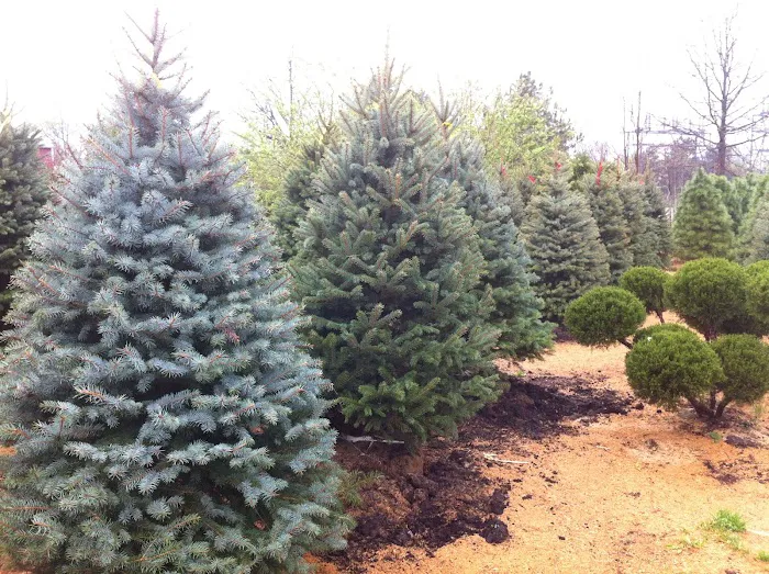 Galbraith's Landscaping & Lawn Care Picture 9