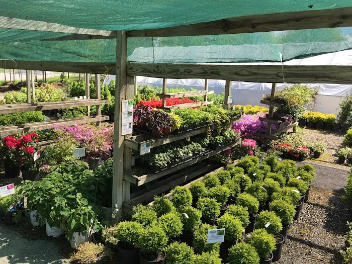 Galbraith's Landscaping & Lawn Care Picture 6