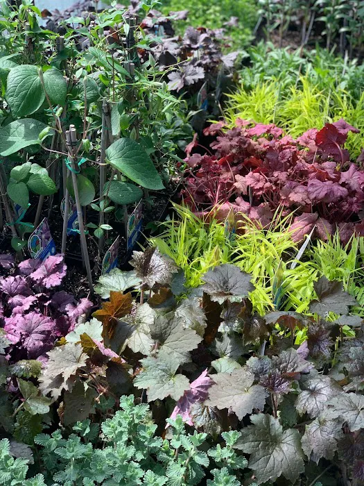 Galbraith's Landscaping & Lawn Care Picture 10