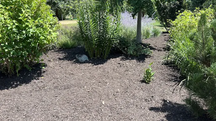 Sunflower Lawn and Landscaping Picture 2